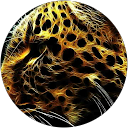 Profilbild von „Ali H.“